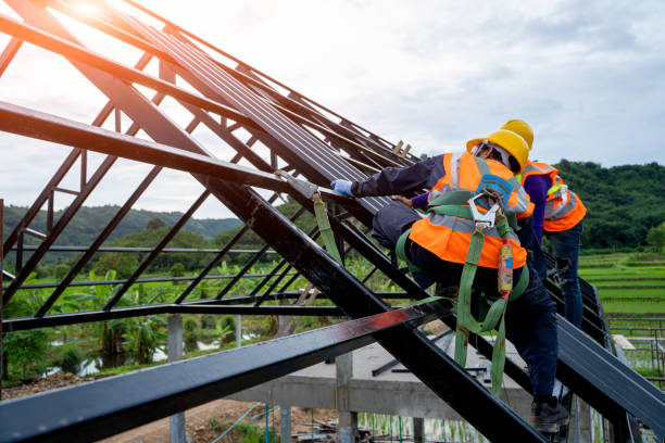 Best Affordable Roofing Company  in Laingsburg, MI