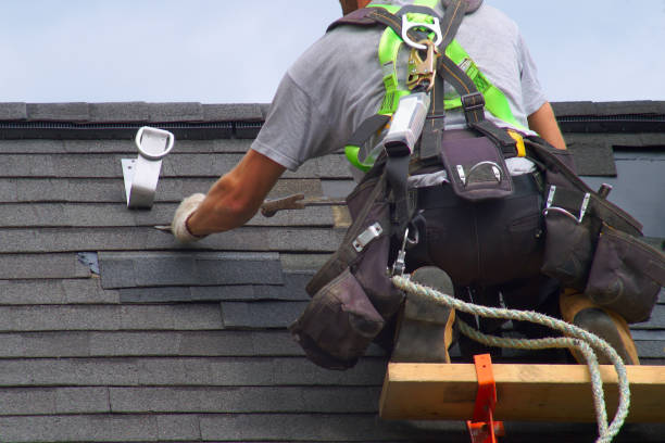 Best Residential Roofing Contractor  in Laingsburg, MI