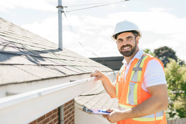Best New Roof Installation  in Laingsburg, MI