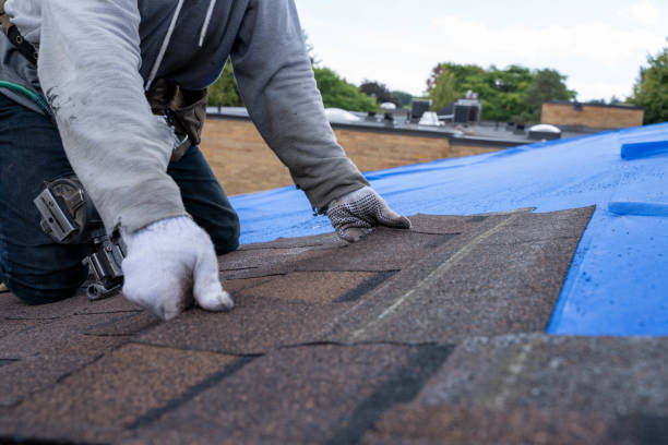 Best Residential Roofing Contractor  in Laingsburg, MI