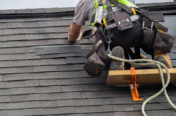 Best Emergency Roof Repair  in Laingsburg, MI