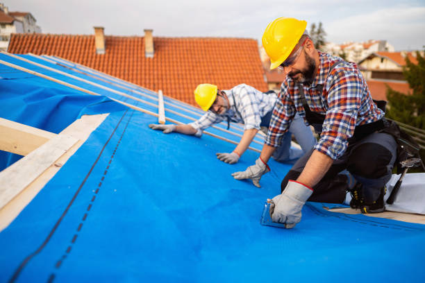 Best Commercial Roofing Services  in Laingsburg, MI