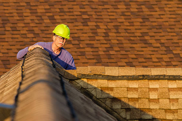 Best New Roof Installation  in Laingsburg, MI