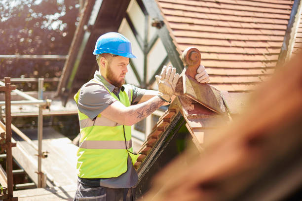 Best Roof Maintenance Services  in Laingsburg, MI