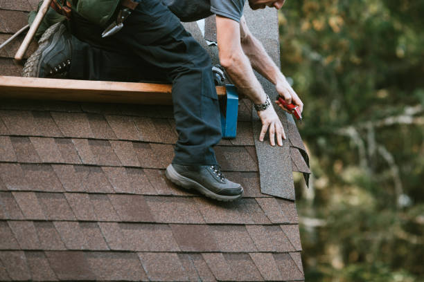 Best Roof Repair Services  in Laingsburg, MI